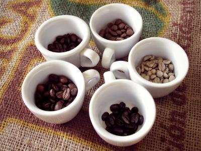 domaci cupping_3